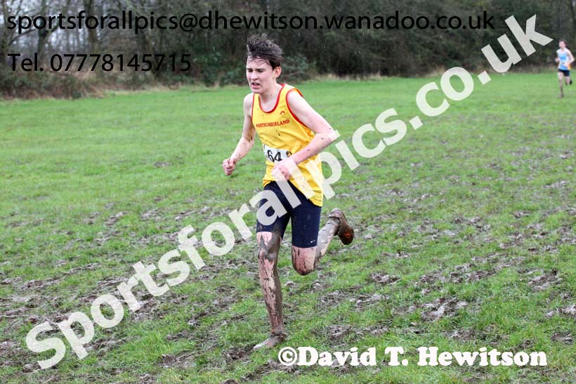 Intermediate boys Northern Inter Counties Schools Cross Country, Stockton. Photo: David T. Hewitson/Sports for All Pics